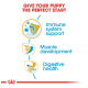 Image promoting puppy nutrition with the text "Give Your Puppy the Perfect Start" and icons for immune, muscle, and digestive health.