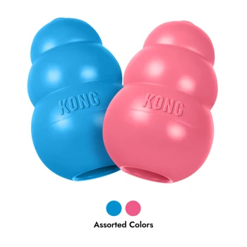 Jouets pour chiens KONG bleus et roses, estampillés « KONG », avec des points de couleur et le texte « Couleurs assorties ».