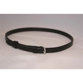 Schwarzes Leder-Haustierhalsband mit silberner Schnalle und verstellbaren Löchern, auf einem hellen Hintergrund präsentiert.