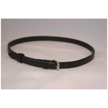 Schwarzes Leder-Haustierhalsband mit silberner Schnalle und verstellbaren Löchern, auf einem hellen Hintergrund präsentiert.