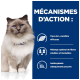 Un chat fluffy de couleur claire avec des yeux bleus est assis contre un fond bleu avec un texte sur la L-carnitine, le mélange de fibres, et les antioxydants.