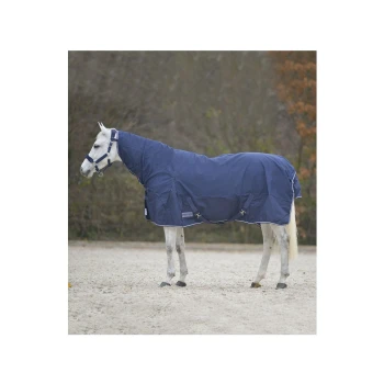 Ein weißes Pferd, das eine blaue Pferde-Decke trägt, steht auf einer sandigen Fläche, mit Bäumen im Hintergrund.