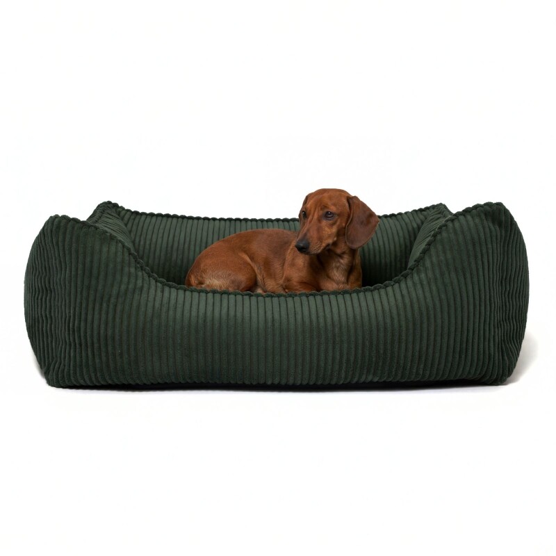 PAW WOW Hundebett ANTON Cord Olivegrün M