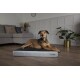 Orthop. Hundebett ArmourDillo XL