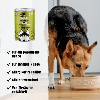 Ein Hund frisst aus einer Schüssel mit der Aufschrift "DOG" neben einer Dose hypoallergenen "eat SMALL" Hundefutter für erwachsene und empfindliche Hunde.
