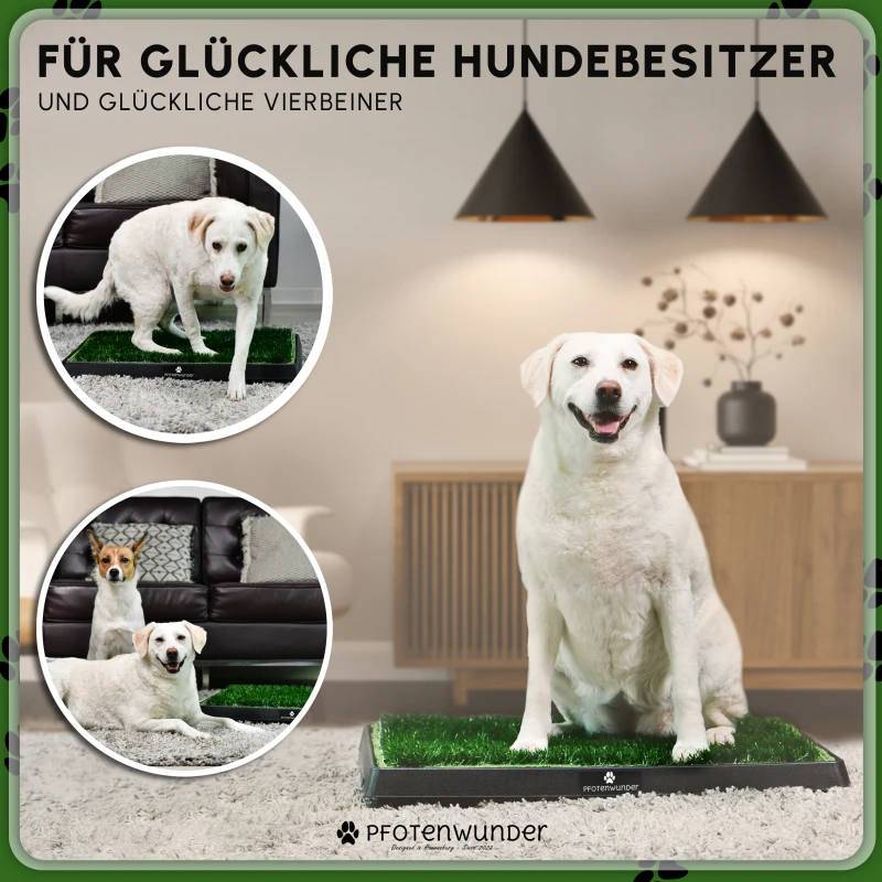 PfotenWunder® Hundeklo XXL 76*51cm, 2 Easy-Wash-Rasen + 1 Büchlein