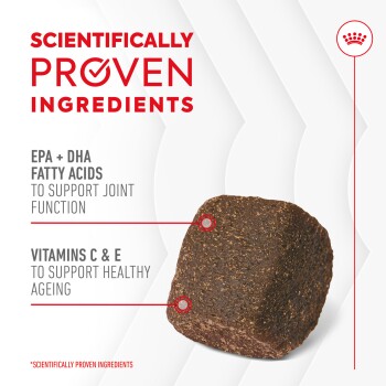 Pet food image showcasing "Scientifically Proven Ingredients" with EPA + DHA for joints and vitamins C & E for healthy aging.