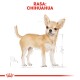 Chihuahua Adult 2x3 kg