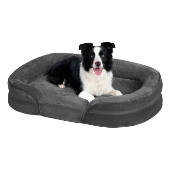 Schwarz-weißer Border Collie liegt auf großem grauem Plüsch-Hundebett mit erhöhten Seiten vor weißem Hintergrund.