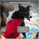 Ein schwarzer Hund in einer roten Schwimmweste sitzt auf einem Paddleboard neben einem Mann, mit Text, der die Eigenschaften der Weste hervorhebt.