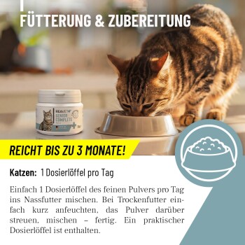 Eine Person, die sanft eine entspannte orangefarbene getigerte Katze streichelt, mit dem Text "MIT EXPERTEN ENTWICKELT" und Details zur Expertenentwicklung in Deutschland.