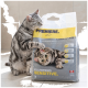 Grau-getigerte Katze kratzt an einer Tüte PREMIERE Klumpstreu mit der Aufschrift 'KLUMPEND SENSITIVE'.