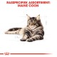Illustratie van een Maine Coon kat die ontspant, met de tekst "Rasspecifiek Assortiment: Maine Coon" prominent weergegeven bovenaan.