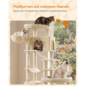 Vier Katzen auf beigem mehrstufigen Kratzbaum neben einem Fenster; deutscher Text: "Plattformen auf mehreren Ebenen".