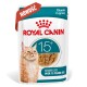 Karma Royal Canin Senior Cat Food w saszetce dla kotów powyżej 15 lat, kawałki w sosie, z obrazem pomarańczowego kota.
