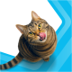 Draufsicht auf eine braun getigerte Katze mit gelben Augen, die sich auf einem blauen geometrischen Hintergrund die Nase leckt.