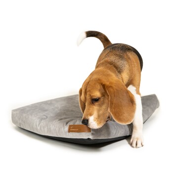 SoftPet Matratze grau M