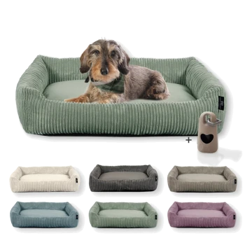 Ein gemütliches grünes Haustierbett mit einem ruhenden Hund, umgeben von beigen, grauen, türkisfarbenen und lila Betten sowie einer beige Herz-ausgeschnittenen Wasserflasche.