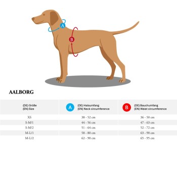 Illustration eines grauen Hundes, der ein braunes Geschirr trägt, das das Design und die Passform des Geschirrs am Körper des Hundes zeigt.