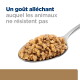 Cuillerée d'aliment humide haché pour animaux sur fond blanc ; titre en français : « Un goût alléchant ».
