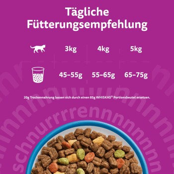 Violettes Poster: „Tägliche Fütterungsempfehlung“ mit 3 kg/4 kg/5 kg und Mengen 45–55 g, 55–65 g, 65–75 g; ein Napf mit Katzen-Trockenfutter.