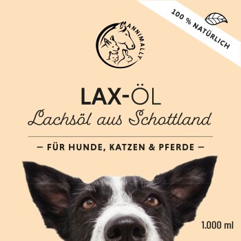 LAX-ÖL Lachsöl aus Norwegen für Hunde, Katzen und Pferde; 100% natürlich; 1000 ml; zeigt eine Nahaufnahme des Gesichts eines Hundes.