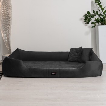 Ein plüschiges schwarzes Haustierbett mit erhöhten Rändern und einem kleinen dekorativen Kissen, vor einem minimalistischen Hintergrund mit einer Pflanze und einer modernen Lampe.