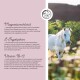 Ein weißes Pferd auf einer grünen Wiese, mit Text links über Magnesiumchlorid, L-Tryptophan und Vitamin B-12 Vorteilen für Pferde.