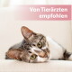 Getigert-weiße Katze mit grünen Augen liegt auf einem beigen Kissen, Kopf aufgestützt; Banner: 'Von Tierärzten empfohlen'.