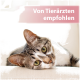 Getigert-weiße Katze mit grünen Augen liegt auf einem beigen Kissen, Kopf aufgestützt; Banner: 'Von Tierärzten empfohlen'.