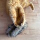 Orange getigerte Katze spielt mit einem grauen, pelzigen Spielzeug auf einem Holzboden.