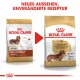 Zwei Taschen Royal Canin Dackel-Hundefutter mit neuem Design und dem Text "NEUES AUSSEHEN, UNVERÄNDERTE REZEPTUR."