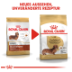 Zwei Taschen Royal Canin Dackel-Hundefutter mit neuem Design und dem Text "NEUES AUSSEHEN, UNVERÄNDERTE REZEPTUR."