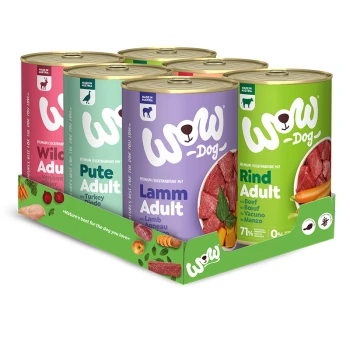 Sechs Dosen Premium-Hundefutter von der Marke 'WOW-Dog', mit den Geschmacksrichtungen: Wild (Reh), Truthahn, Lamm und Rind.