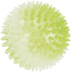 Durchscheinender limonengrüner stacheliger Gummispielball für Haustiere, bedeckt mit kurzen konischen Noppen.