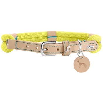 Ein leuchtend gelbes Hundehalsband aus Seil mit einem Lederband, mit einer silbernen Schnalle und einem Anhänger mit einem Hundesilhouette.