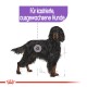 Illustration eines schwarz-braunen Hundes mit dem Text 'Für kastrierte, ausgewachsene Hunde' darüber, was anzeigt, dass es für kastrierte erwachsene Hunde gedacht ist.