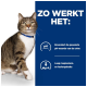 Een tabby kat met een blauwe halsband wordt links getoond, naast tekst over productvoordelen voor urine pH en lage magnesium- en fosforniveaus.