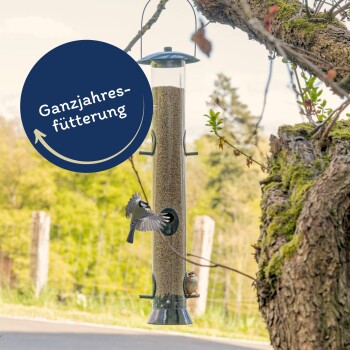 Ein Vogelhaus, das von einem Baum hängt, mit einem Blaumeisen, das davon frisst, und einem nahegelegenen Spatz. Der Text lautet 'Ganzjahresfütterung.'