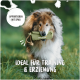 Ein Collie-Hund trägt ein grünes Trainingsspielzeug im Mund, mit einem Textüberlagerung, die "APPORTIEREN MIT SPASS" und "IDEAL FÜR TRAINING & ERZIEHUNG" liest.