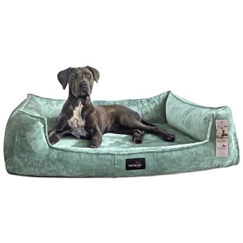 ® Orthopädisches Hundebett FRANKLIN Kuscheliger Teddy-Stoff - Hundesofa mint 1,1 m, 22 cm, 90 cm