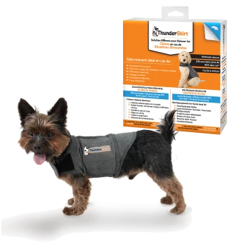 Ein kleiner Hund in einem grauen ThunderShirt steht neben einer bunten Verpackung, die die Produktvorteile in verschiedenen Sprachen hervorhebt.