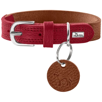 Rote Lederhalsband für Hunde mit einer silbernen Schnalle und einem braunen Anhänger mit einem Hundesilhouette, markiert mit "HUNTER."