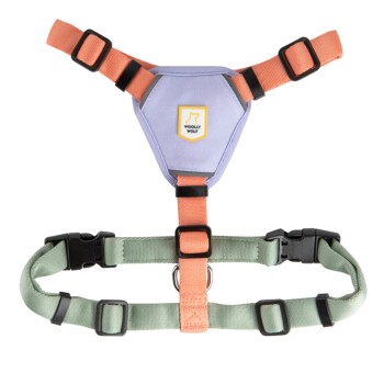 Geschirr Color Block Salmon Pink Mix M