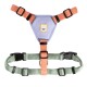 Geschirr Color Block Salmon Pink Mix M