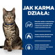 Chat tigré avec collier bleu à gauche, panneau bleu à droite indiquant « COMMENT LA NOURRITURE FONCTIONNE : » avec trois icônes de bénéfices.