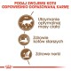 Infografika doradzająca w kwestii odpowiednich porcji karmy dla kotów, podkreślająca optymalne utrzymanie wagi, zdrowie starszych kotów oraz zdrowie nerek.