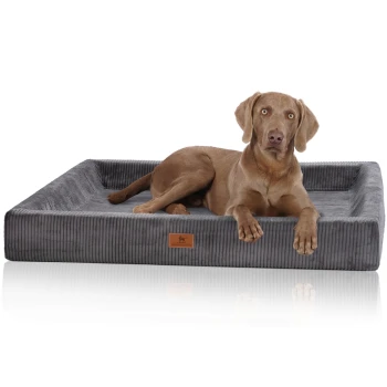 orthopädisches Hundebett aus Cord mit Handwebcharakter Santiago grau XXL Ein brauner Hund, der auf einem plüschigen grauen Hundebett mit gerippter Textur liegt, mit einem kleinen Lederetikett mit einem Hundelogo.