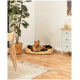 Ein glücklicher Hund, der auf einem gemütlichen, plüschigen Haustierbett in einem modernen Wohnzimmer entspannt, umgeben von einer Topfpflanze und stilvollen Möbeln.