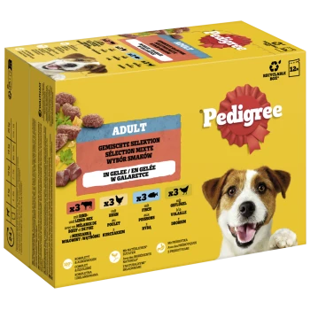 Pedigree Adult Hundefutterbox mit gemischter Auswahl in Gelee, mit Geschmacksrichtungen wie Rind, Huhn und Fisch. Enthält 12 Portionen.